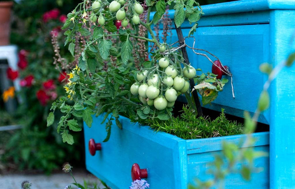 Beautiful balcony garden with lush green plants and colorful flowers