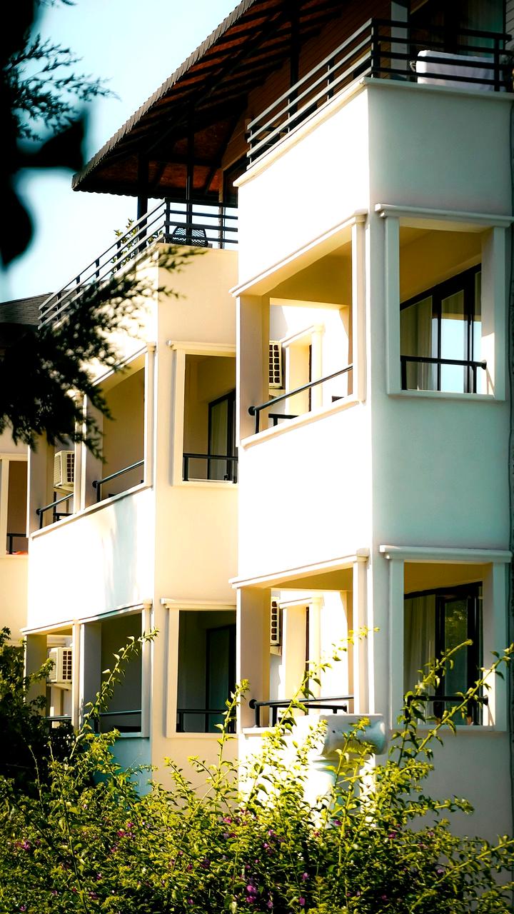 Spring balcony garden with fresh green shoots